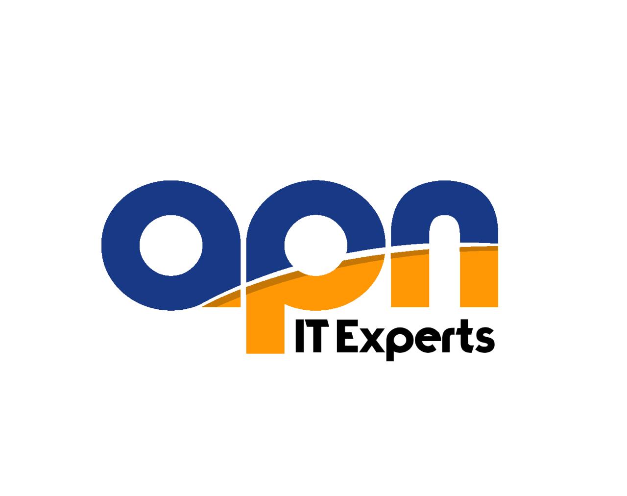 APN IT Experts 